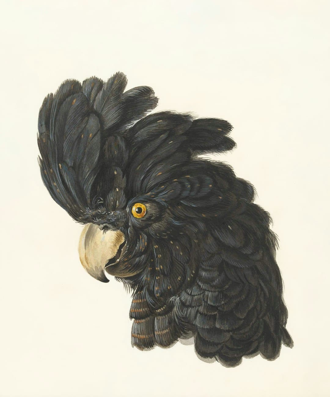 人民银行开展1883亿元逆回购操作 公开市场实现净回笼5946亿元